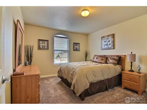 469 Wind River Dr, Windsor, CO 80550 photo 22