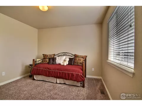 469 Wind River Dr, Windsor, CO 80550 photo 30