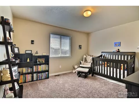 469 Wind River Dr, Windsor, CO 80550 photo 24