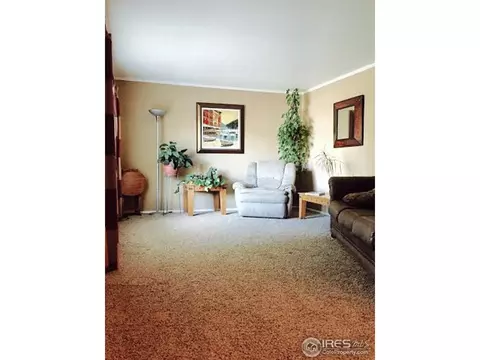 8215 Lamar Dr, Arvada, CO 80003 photo 13