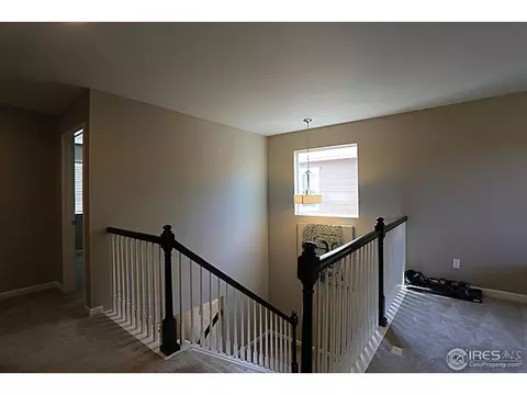 3663 E 141st Pl, Thornton, CO 80602 photo 12