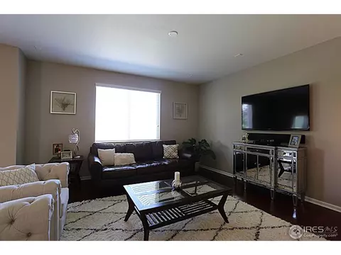3663 E 141st Pl, Thornton, CO 80602 photo 10
