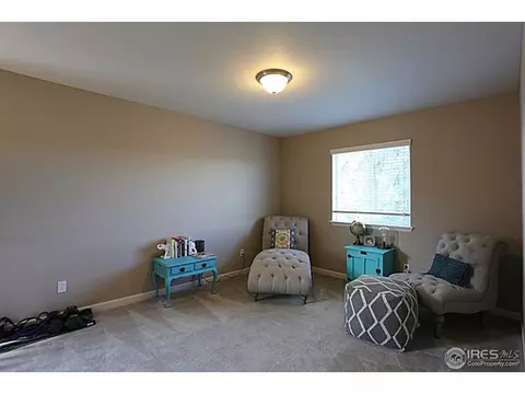 3663 E 141st Pl, Thornton, CO 80602 photo 11