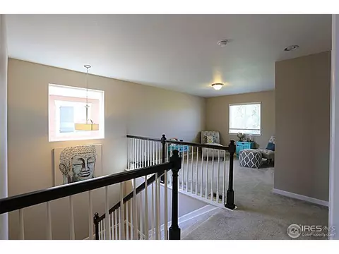 3663 E 141st Pl, Thornton, CO 80602 photo 19