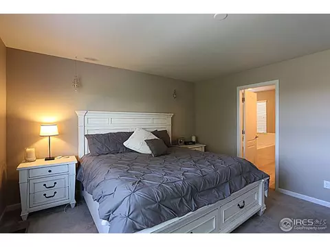 3663 E 141st Pl, Thornton, CO 80602 photo 14