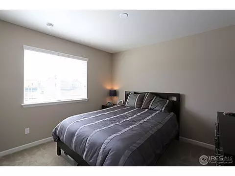 3663 E 141st Pl, Thornton, CO 80602 photo 17