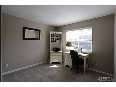 3663 E 141st Pl, Thornton, CO 80602 photo 18