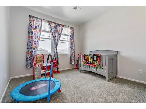 7120 E 121st Pl, Thornton, CO 80602 photo 28