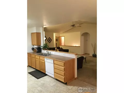 819 Durum St, Windsor, CO 80550 photo 4