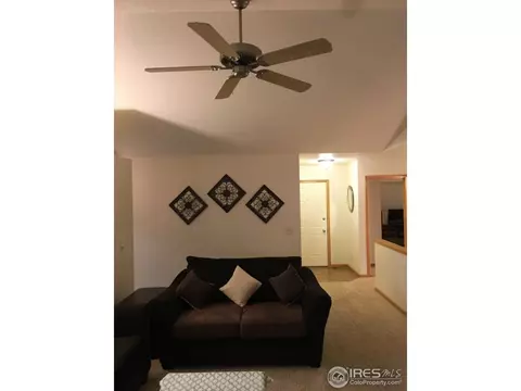 819 Durum St, Windsor, CO 80550 photo 13
