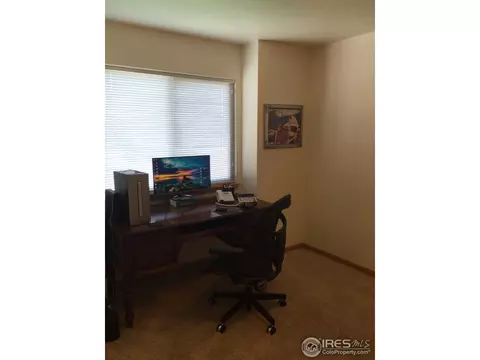 819 Durum St, Windsor, CO 80550 photo 15