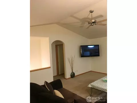 819 Durum St, Windsor, CO 80550 photo 6