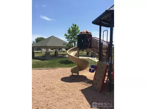 819 Durum St, Windsor, CO 80550 photo 19