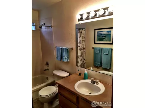 819 Durum St, Windsor, CO 80550 photo 14