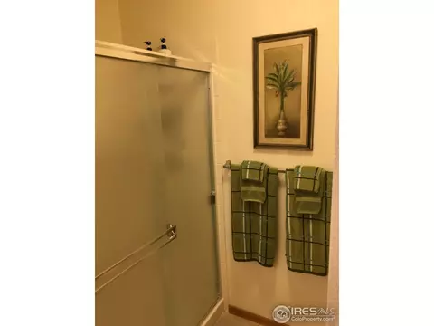 819 Durum St, Windsor, CO 80550 photo 12
