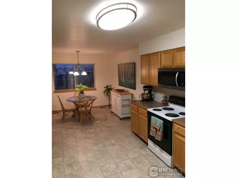 819 Durum St, Windsor, CO 80550 photo 2
