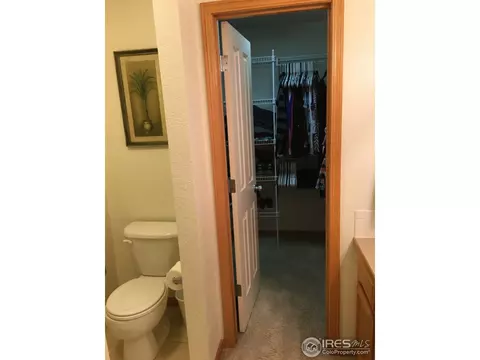 819 Durum St, Windsor, CO 80550 photo 11