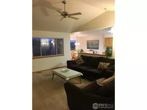819 Durum St, Windsor, CO 80550 photo 5