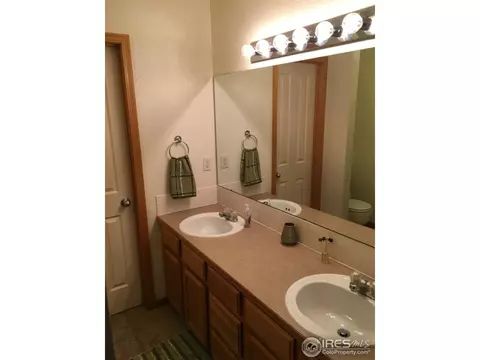 819 Durum St, Windsor, CO 80550 photo 10