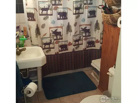 962 5th St, Berthoud, CO 80513 photo 10
