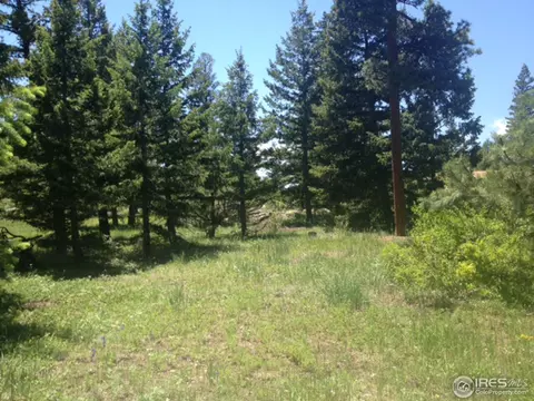 595 Lakeshore Park Rd, Boulder, CO 80302 photo 14