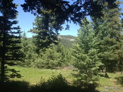 595 Lakeshore Park Rd, Boulder, CO 80302 photo 23