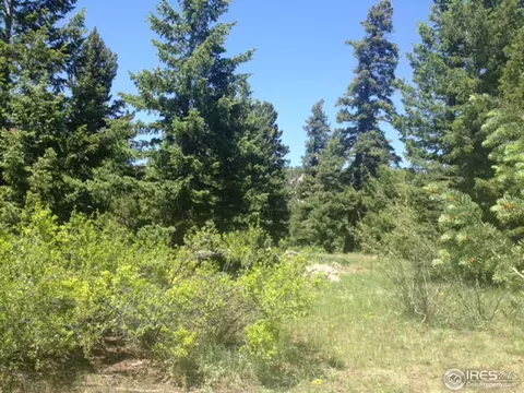 595 Lakeshore Park Rd, Boulder, CO 80302 photo 15