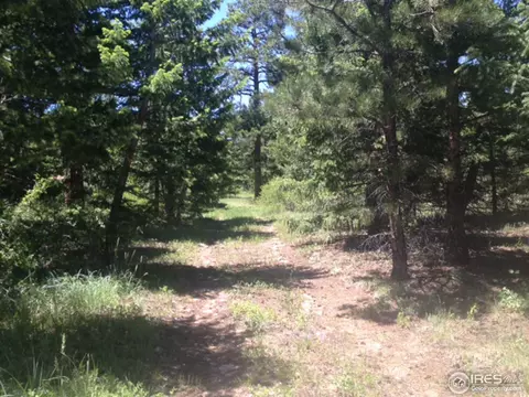 595 Lakeshore Park Rd, Boulder, CO 80302 photo 17