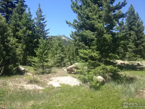 595 Lakeshore Park Rd, Boulder, CO 80302 photo 21