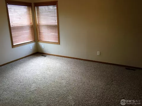215 Sequoia Cir, Windsor, CO 80550 photo 15