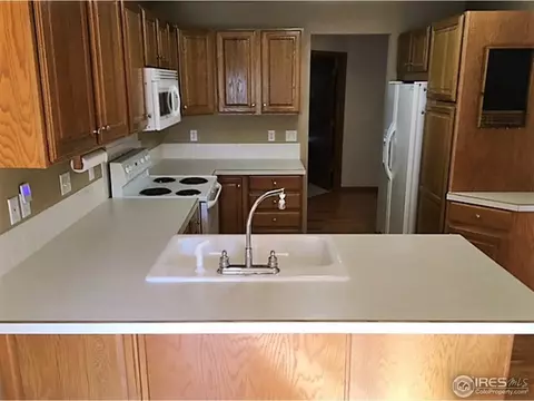 215 Sequoia Cir, Windsor, CO 80550 photo 8
