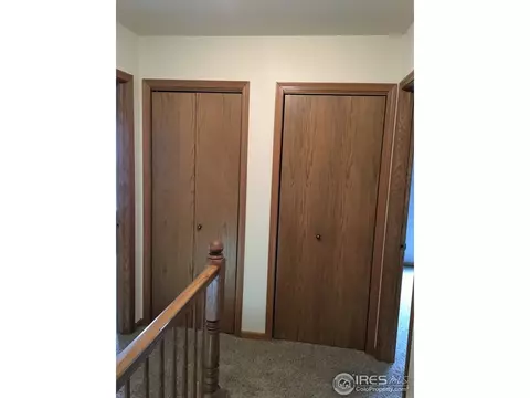 215 Sequoia Cir, Windsor, CO 80550 photo 12