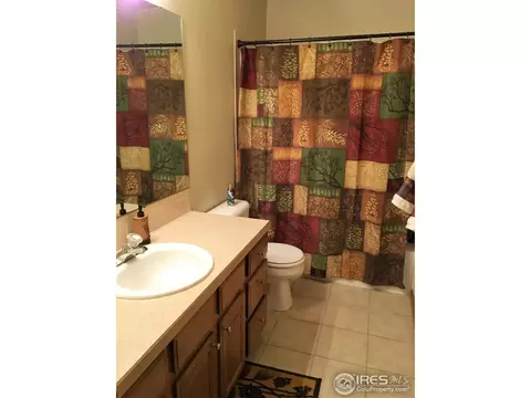 215 Sequoia Cir, Windsor, CO 80550 photo 13