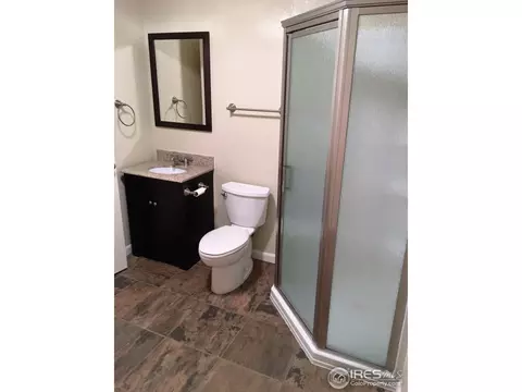 215 Sequoia Cir, Windsor, CO 80550 photo 20