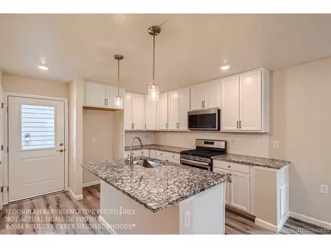 10271 E 62nd Pl, Denver, CO 80238 photo 10