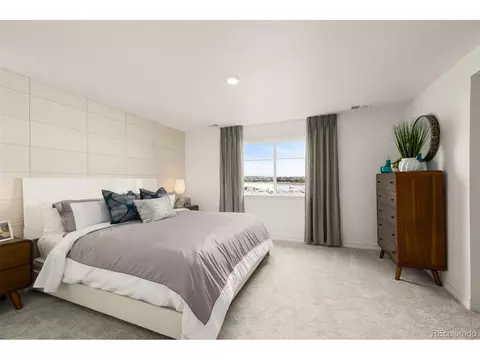 16427 Askins Loop, Parker, CO 80134 photo 14