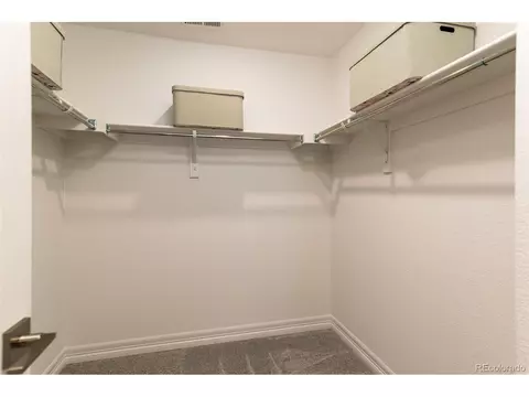 16427 Askins Loop, Parker, CO 80134 photo 22