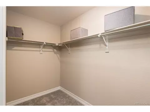 16427 Askins Loop, Parker, CO 80134 photo 17