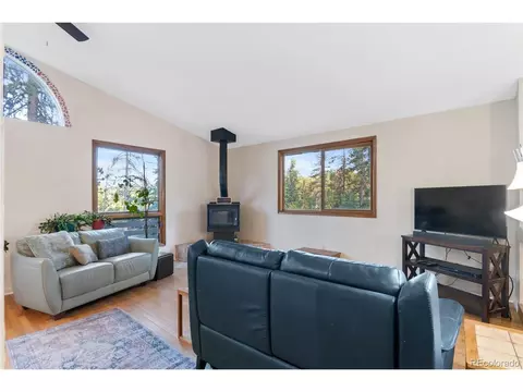 9941 Apache Spring Dr, Conifer, CO 80433 photo 15