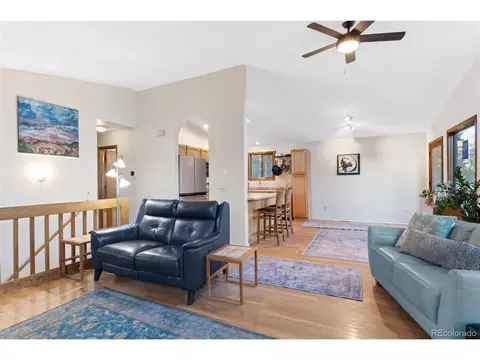 9941 Apache Spring Dr, Conifer, CO 80433 photo 13