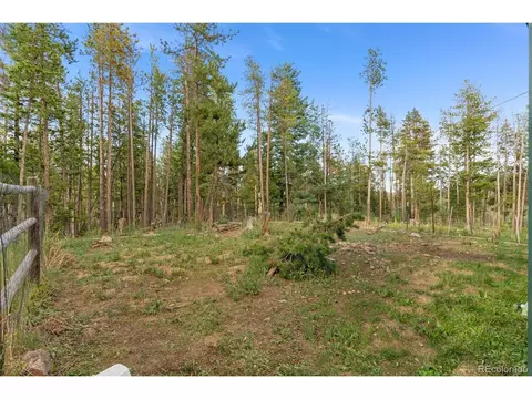 9941 Apache Spring Dr, Conifer, CO 80433 photo 7