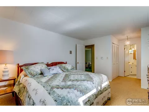 205 White House Dr, Lyons, CO 80540 photo 18
