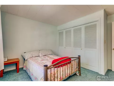 205 White House Dr, Lyons, CO 80540 photo 22