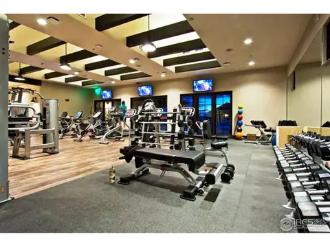 6749 Clovis Ct, Timnath, CO 80547 photo 12
