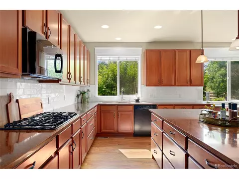25010 E Indore Pl, Aurora, CO 80016 photo 10