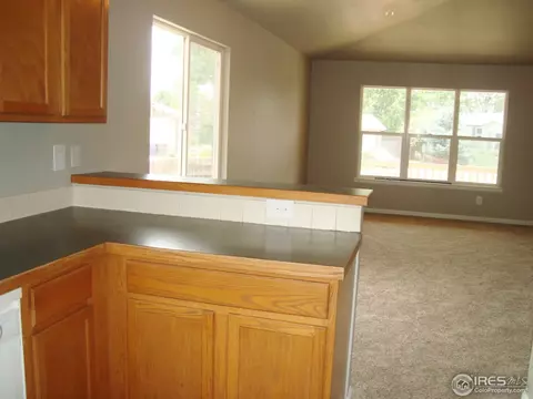 111 Flora Ct, Frederick, CO 80530 photo 10