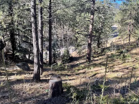 Shadow Mountain Dr, Conifer, CO 80433 photo 9