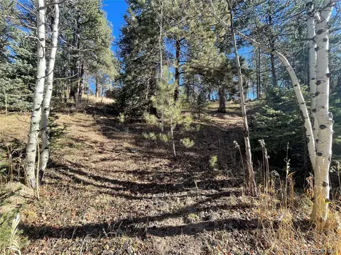 Shadow Mountain Dr, Conifer, CO 80433 photo 8