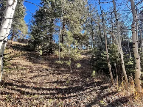Shadow Mountain Dr, Conifer, CO 80433 photo 7