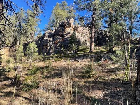 Shadow Mountain Dr, Conifer, CO 80433 photo 5